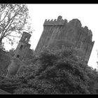 Blarney_Castle