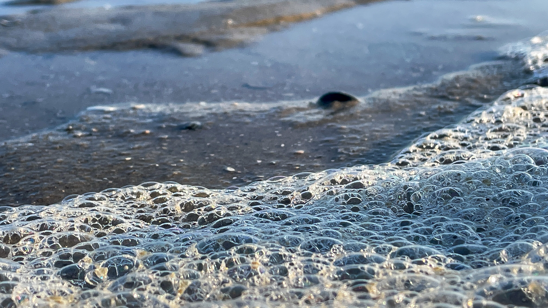 Blasen am Strand 