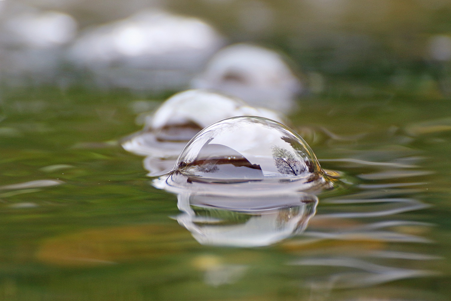 Blasen im Gartenteich