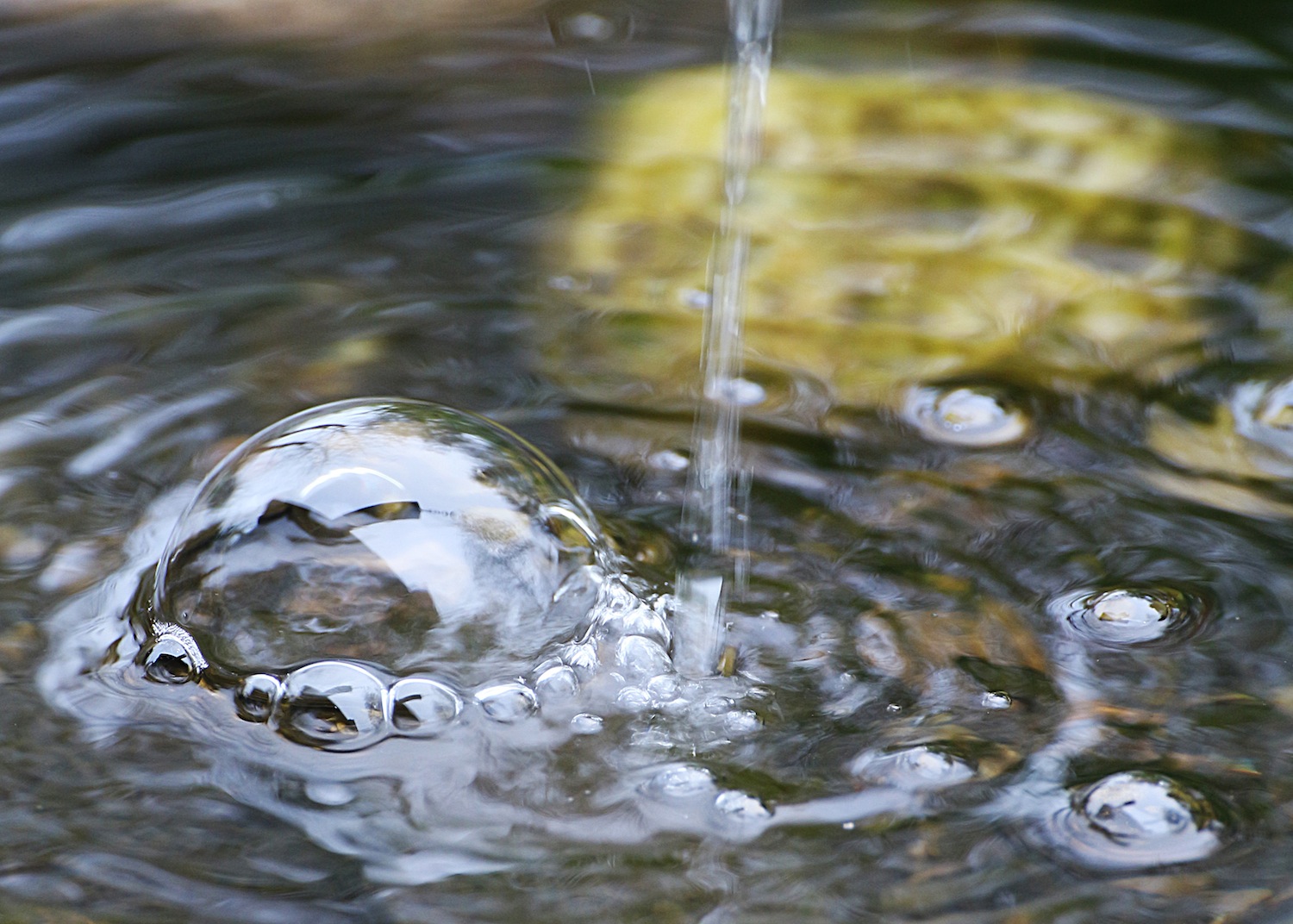 Blasenbildung im Gartenteich Foto & Bild wasser, teich, natur Bilder