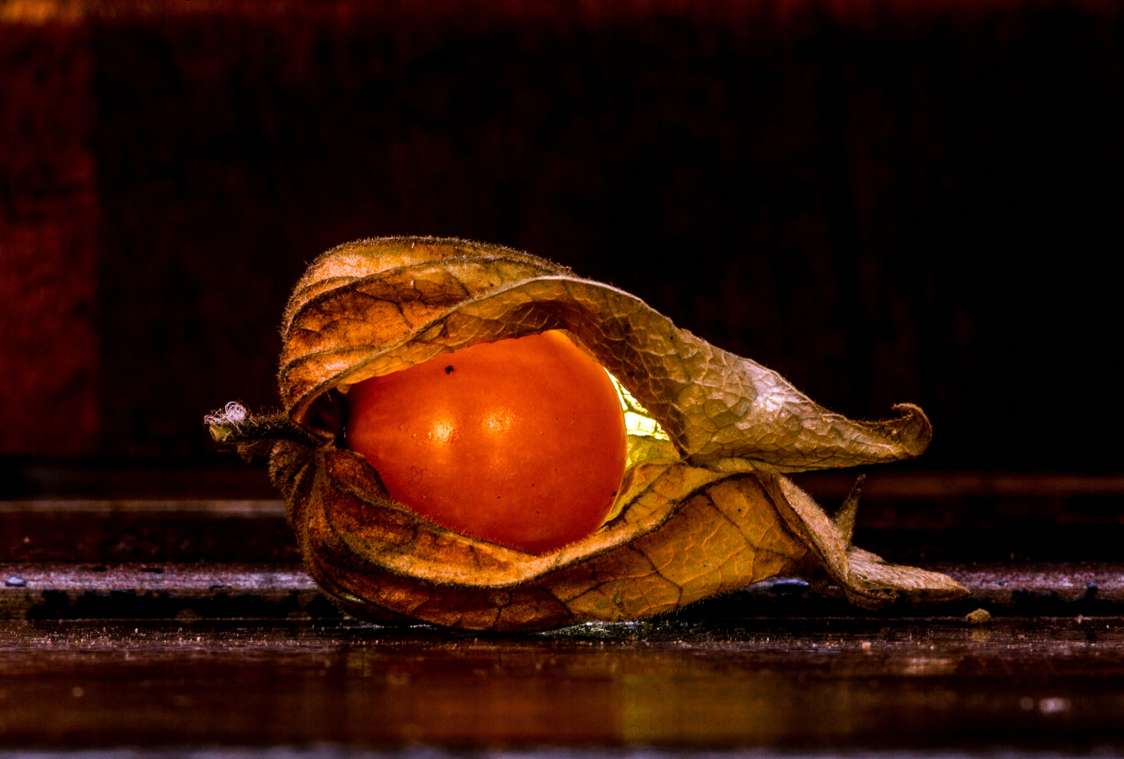 Blasenkirsche Physalis