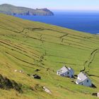 Blasket Island 