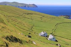 Blasket Island 