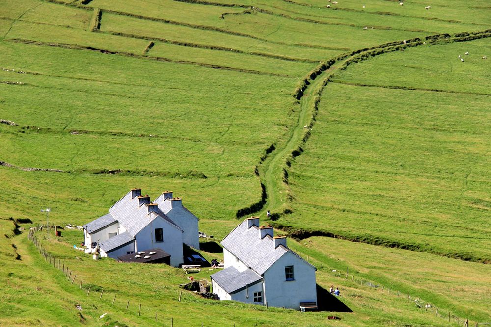 Blasket Island