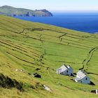 Blasket Island