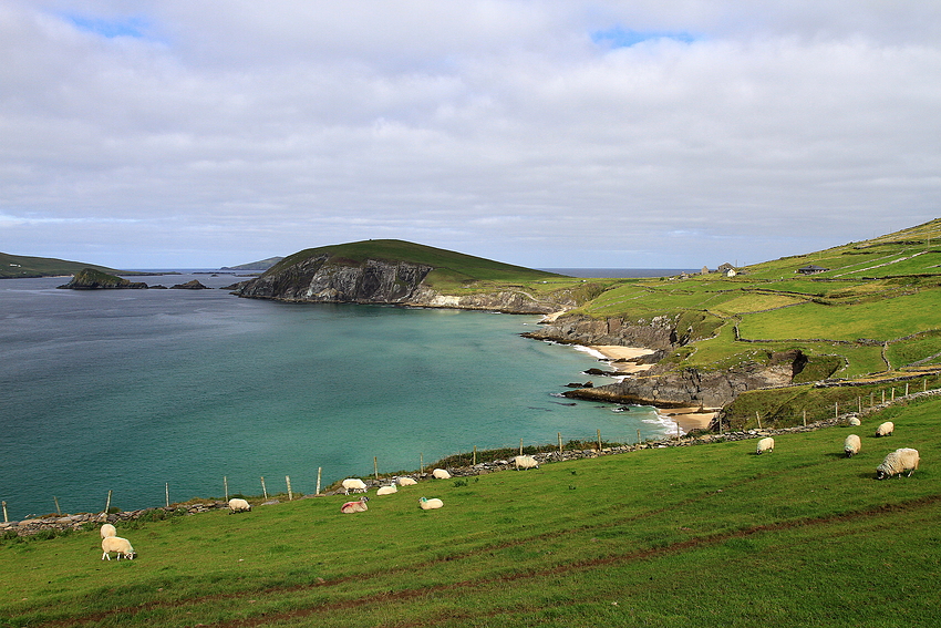 Blasket Islands