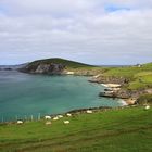 Blasket Islands