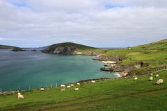 Blasket Islands