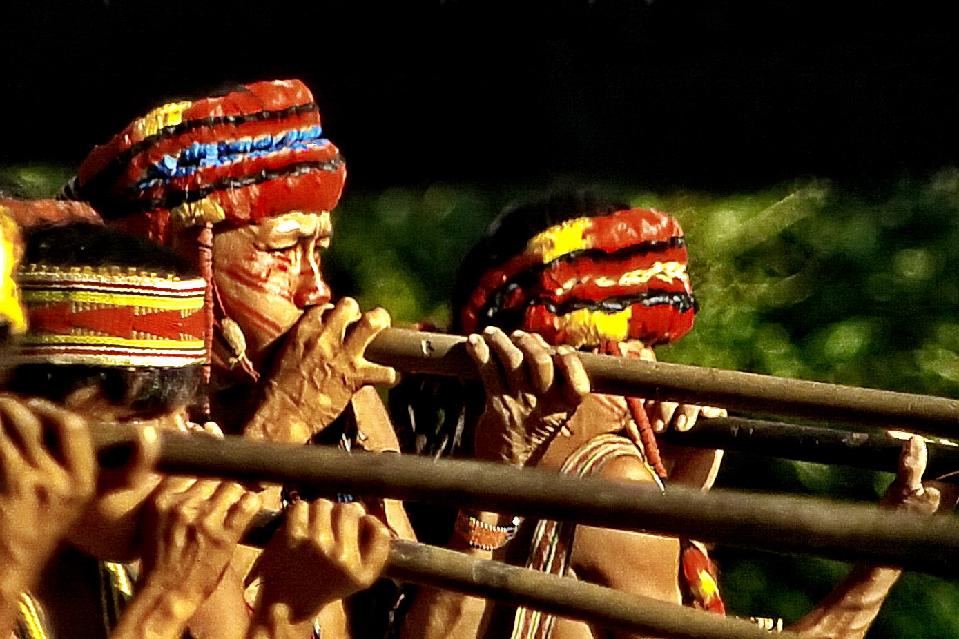 Blasrohrjäger am Amazonas