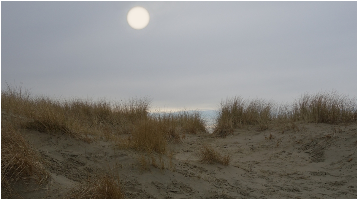 Blasse Sonne über Borkum