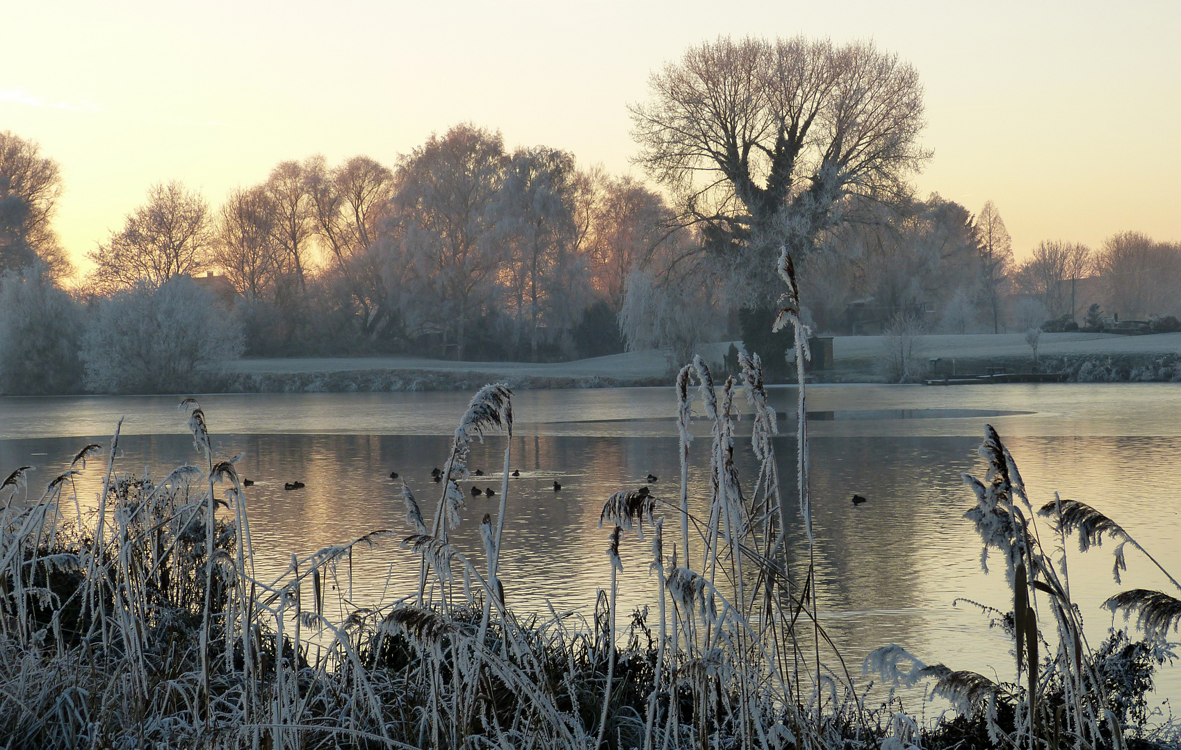  Blasse Wintersonne