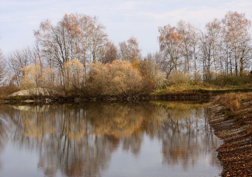 Blasses Novemberlicht