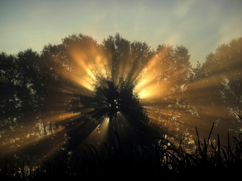 Blasting Sunrays in the Morning