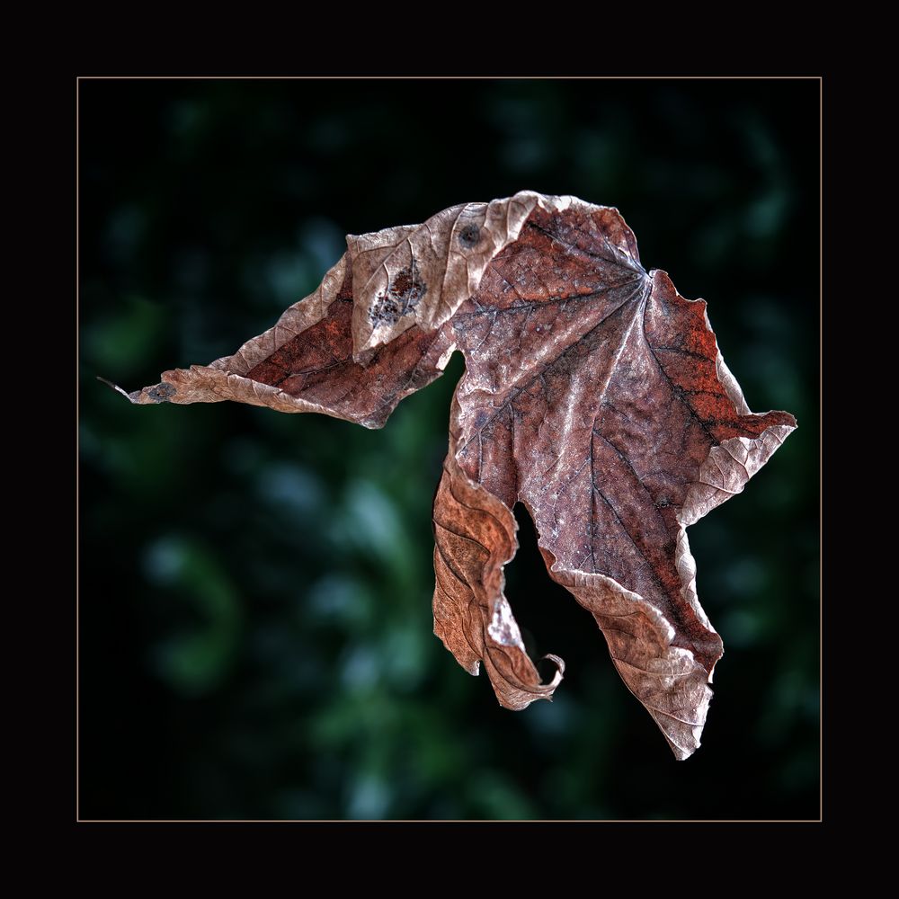 Blatt / 2