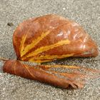 Blatt am Strand