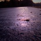 Blatt auf frostiger Straße (November 2011)