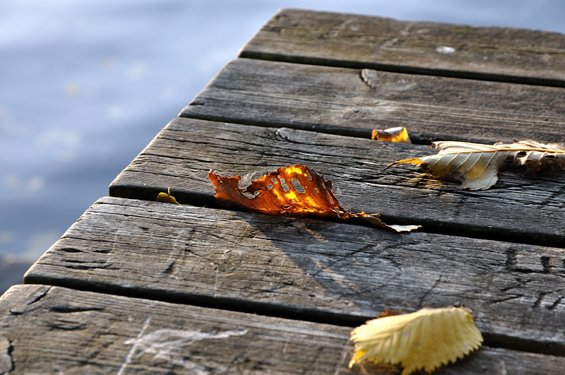 Blatt auf Tisch am Wasser