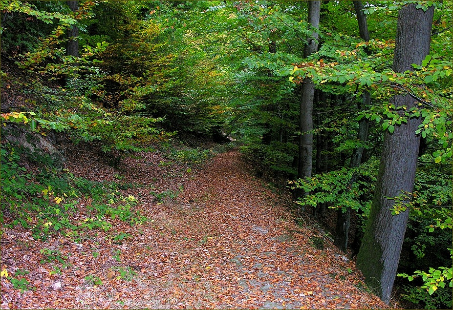 Blatt für Blatt vom Baume fällt ...