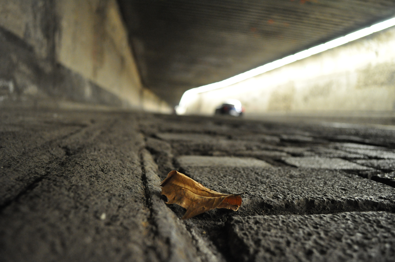 Blatt im Matenatunnel