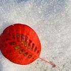 Blatt im Schnee