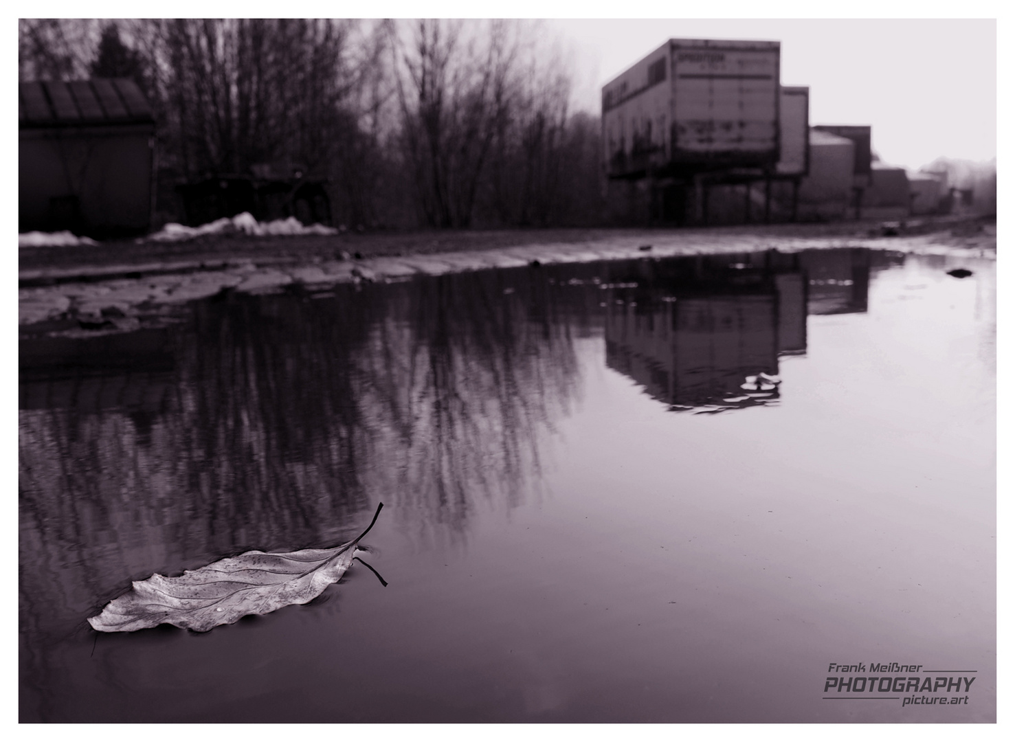 Blatt im Wasser