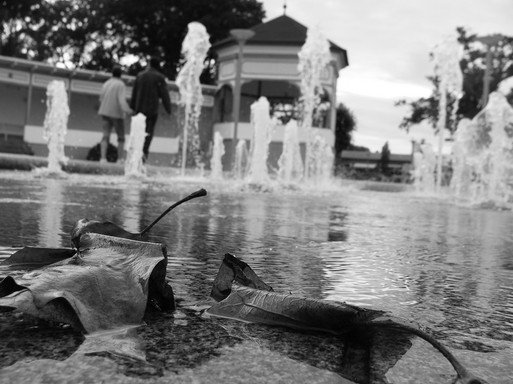 Blatt vor Brunnen :-)