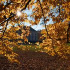 Blattgold im Schlosspark