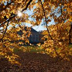 Blattgold im Schlosspark