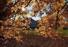 Blattgold im Schlosspark