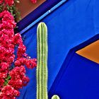 Blau 2 - Jardin Majorelle in Marrakesch