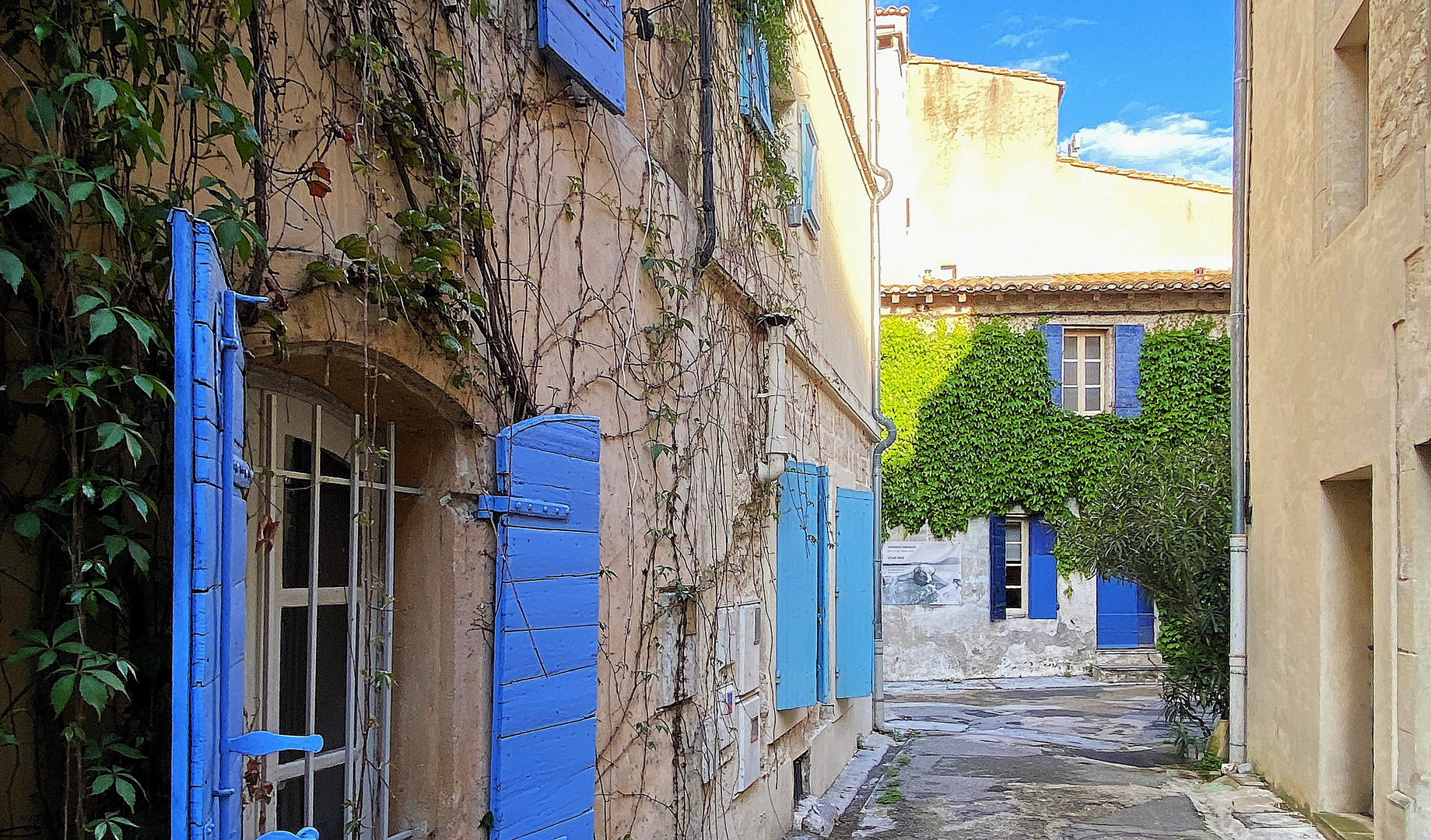 Blau