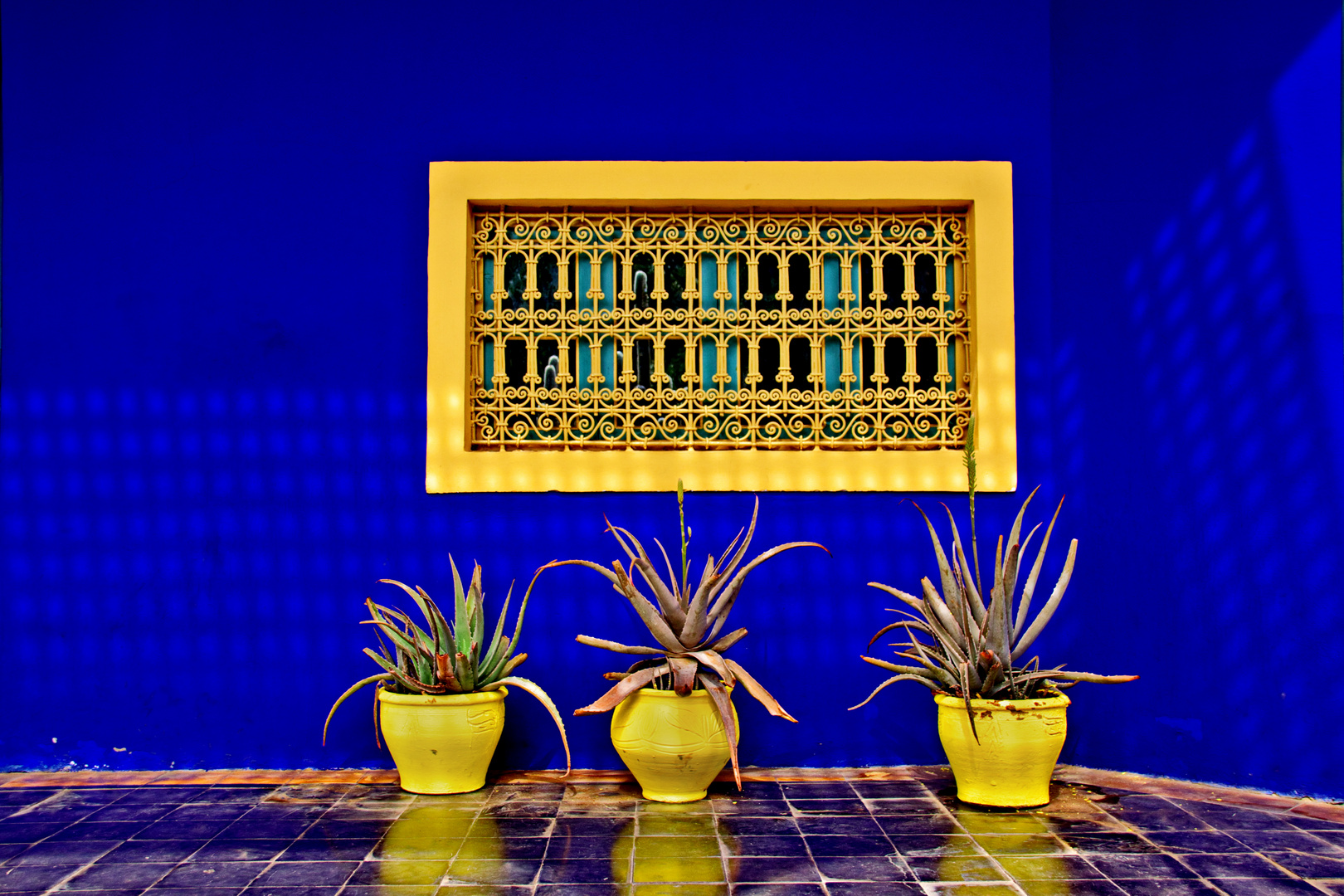 Blau 3 - Jardin Majorelle in Marrakesch