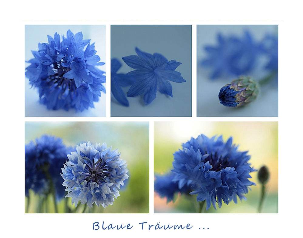 Blau