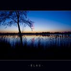 - BLAU -