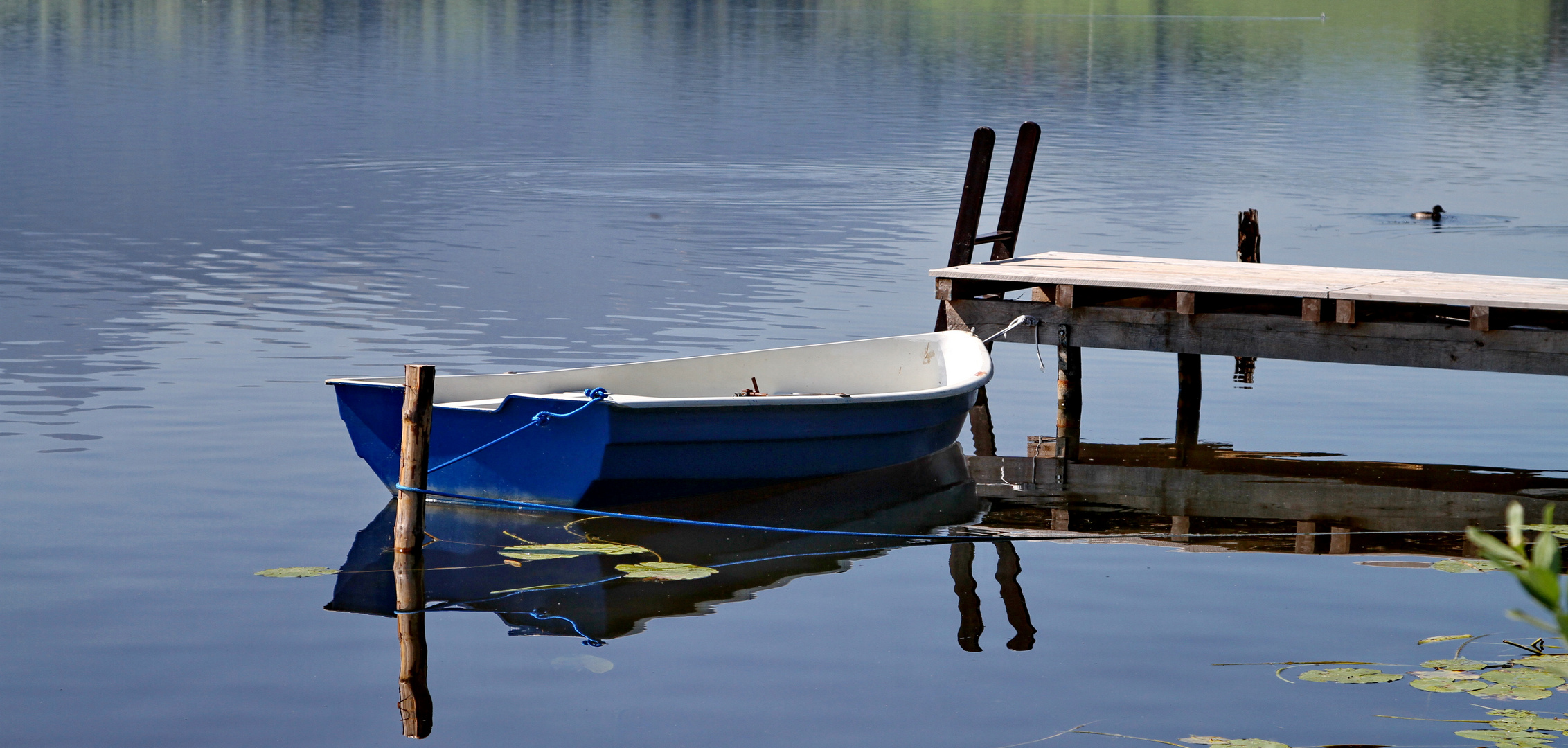 Blau am Bootssteg