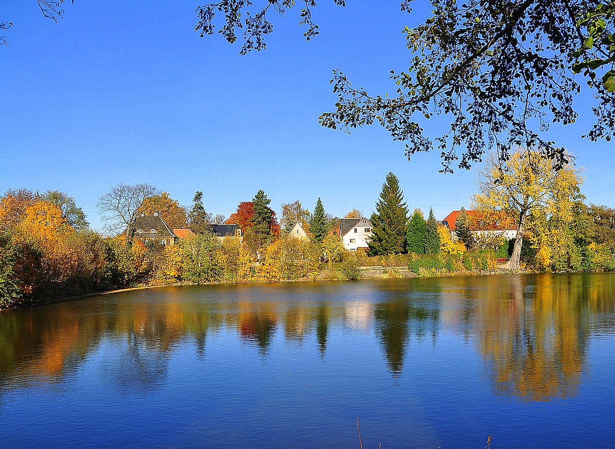 Blau am herbstlichen Teich