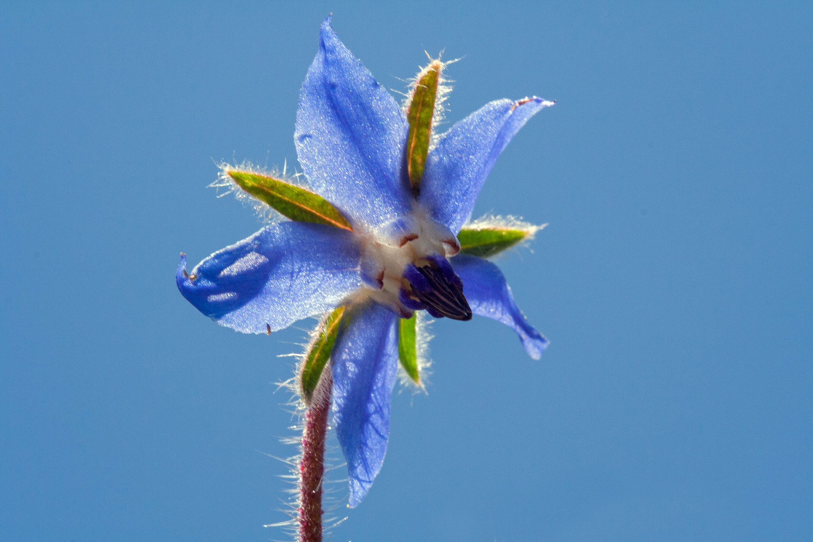 blau auf blau