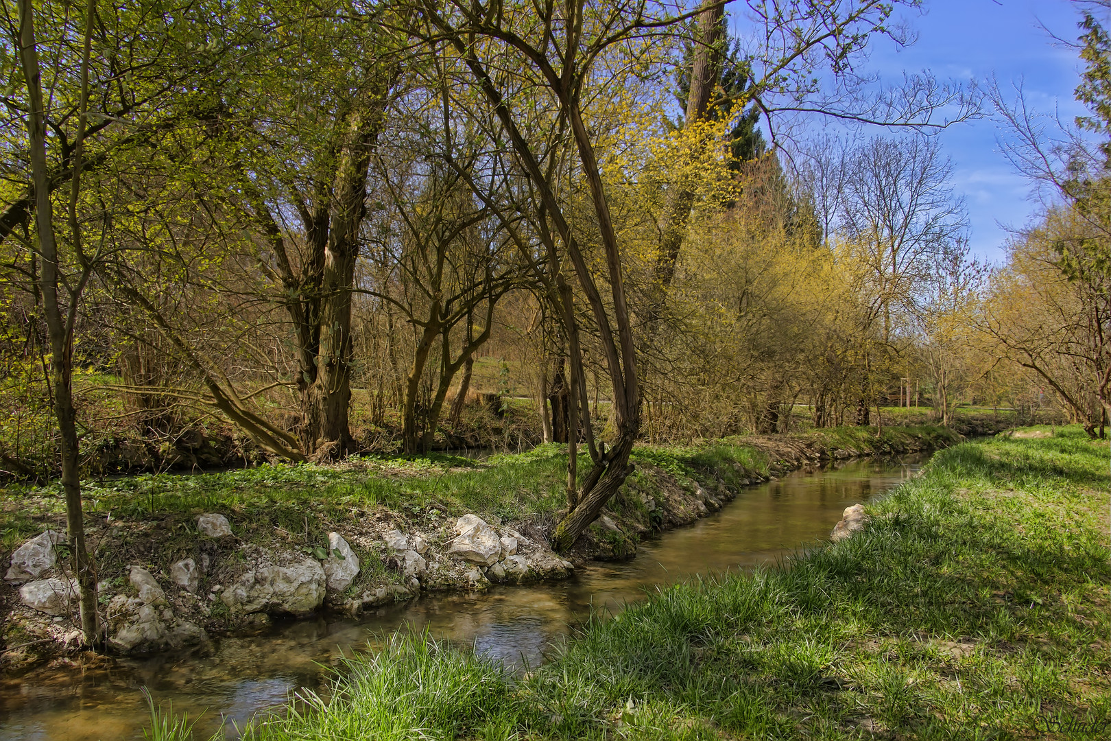 Blau bei Söflingen (Ulm)