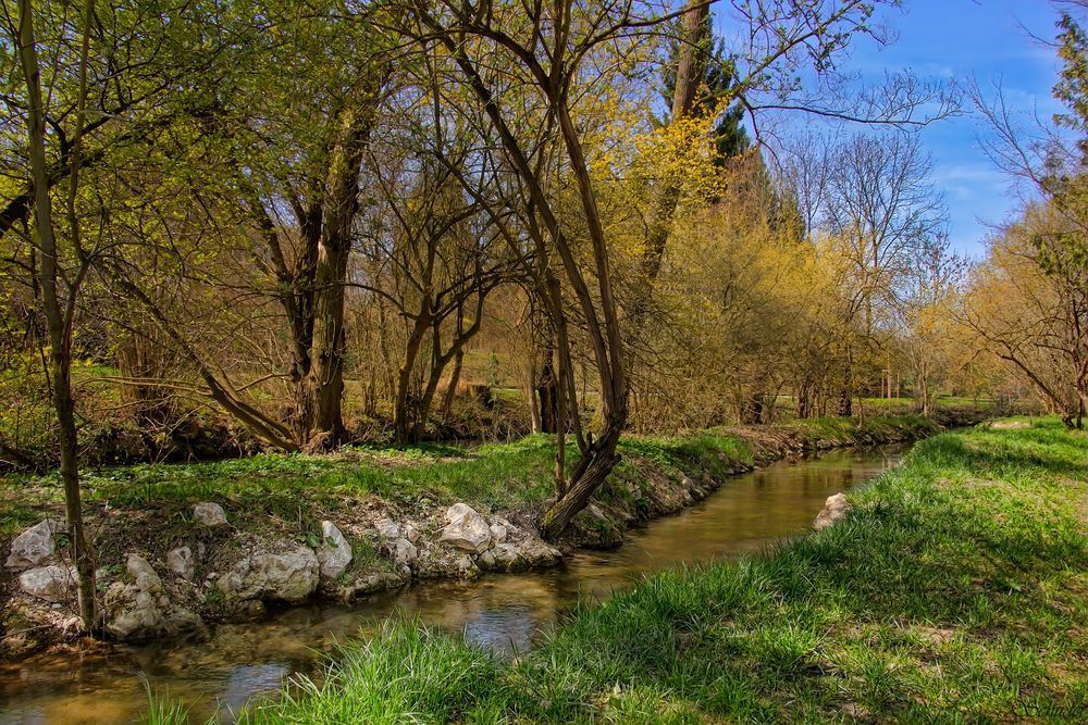 Blau bei Söflingen (Ulm)