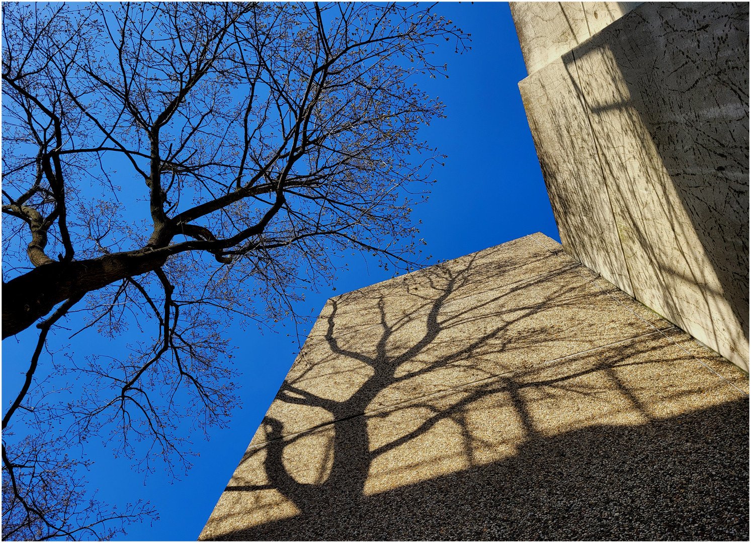 Blau-beiger Frühling in der Stadt (I a)