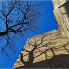 Blau-beiger Frühling in der Stadt (I a)