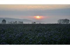 blau beruhigt