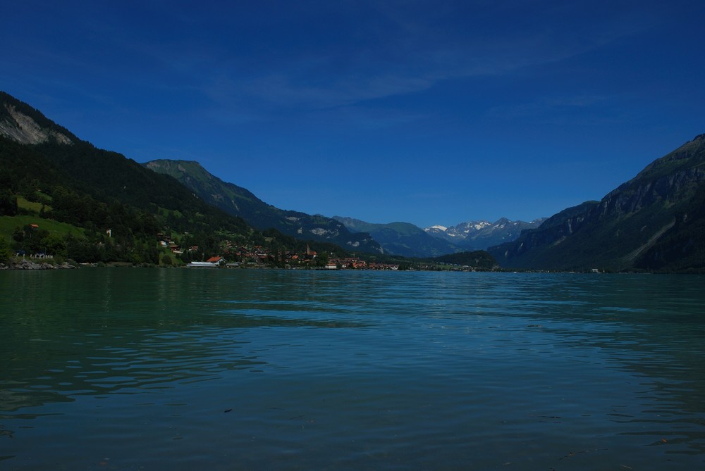 Blau blüht der See