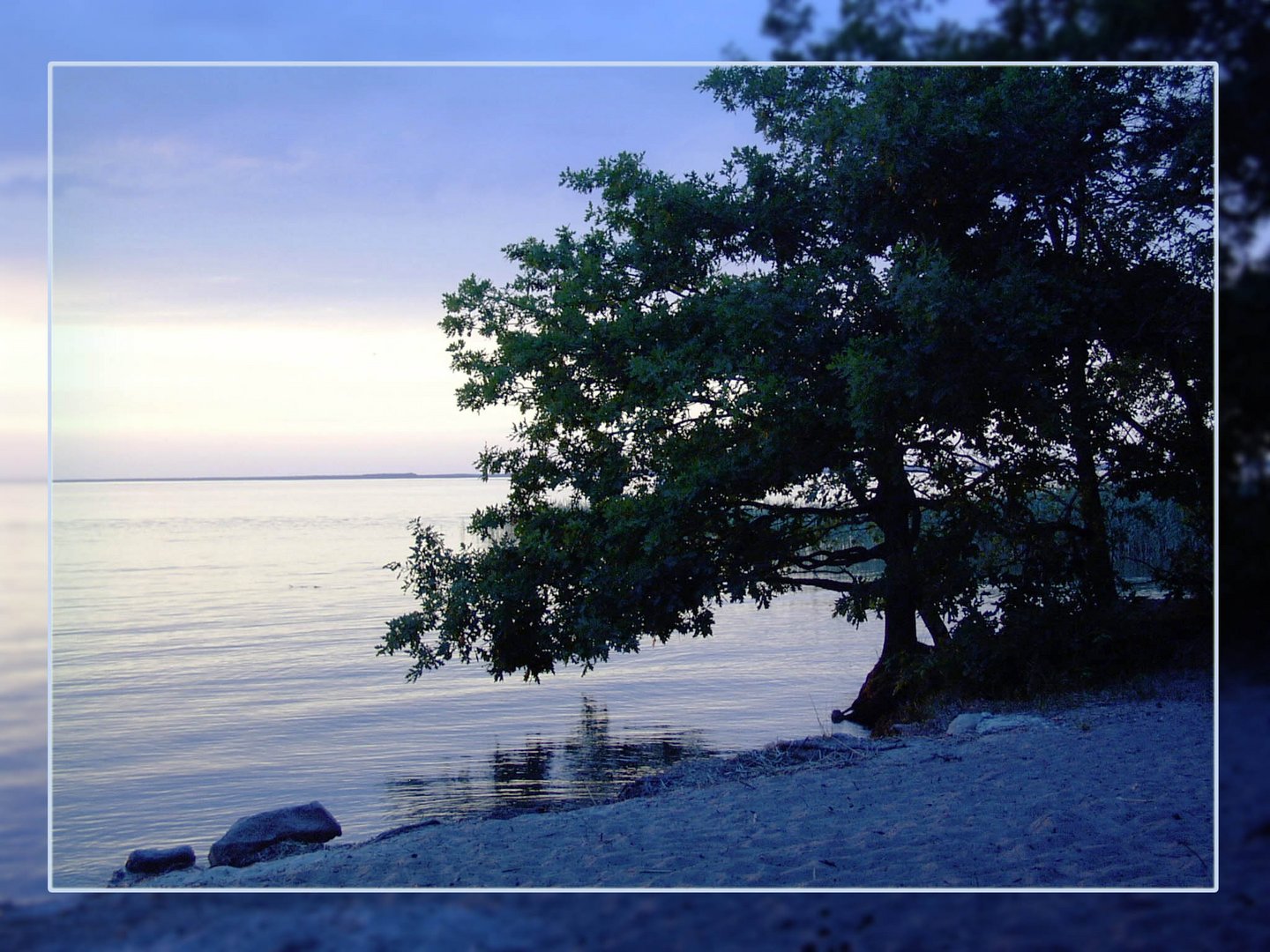 Blau blüht die Müritz