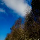 blau der Himmel , weiß die Wolken 