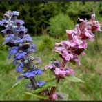 Blau für den Buben und Rosa fürs Mädel