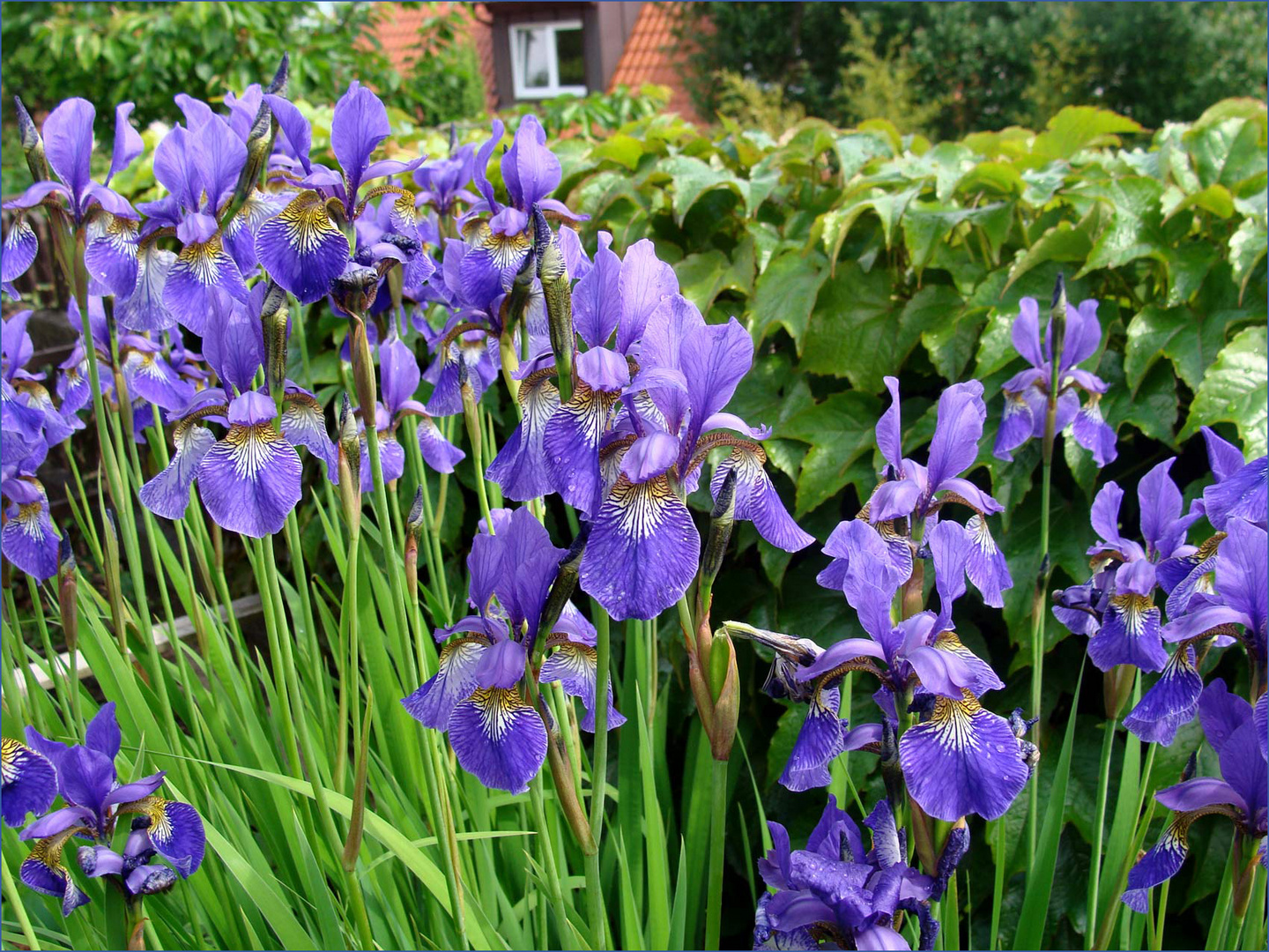 Blau-für-Montag-