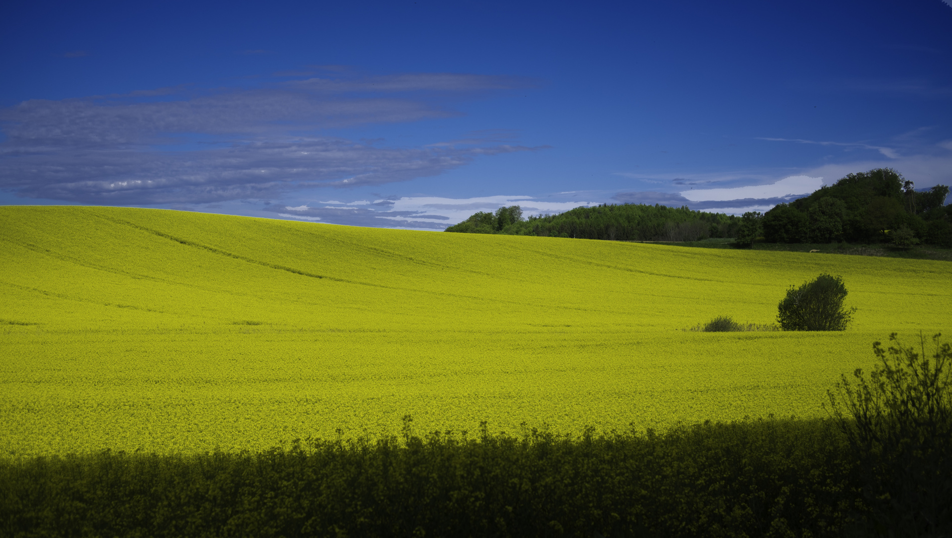 blau-gelb