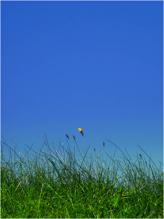 Blau-gelb-grün