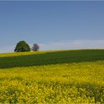 Blau-gelb-grün